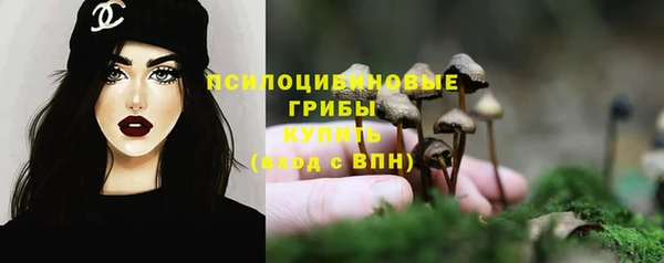 а пвп мука Армянск