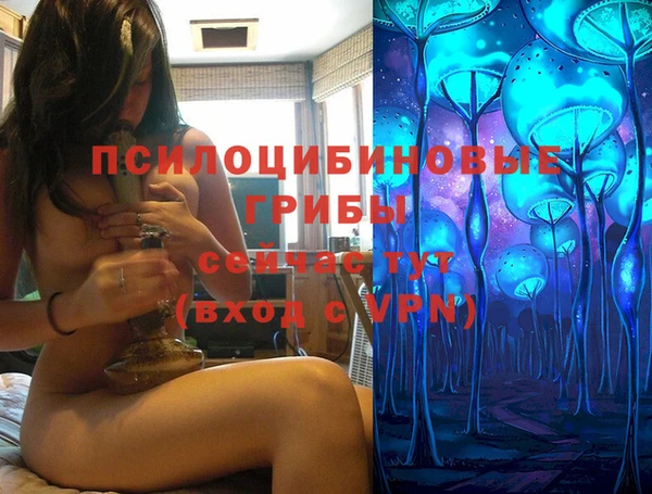 герыч Арсеньев